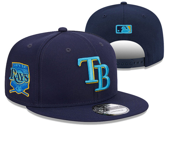 Tampa Bay Rays Stitched Baseball Snapback Hats 006